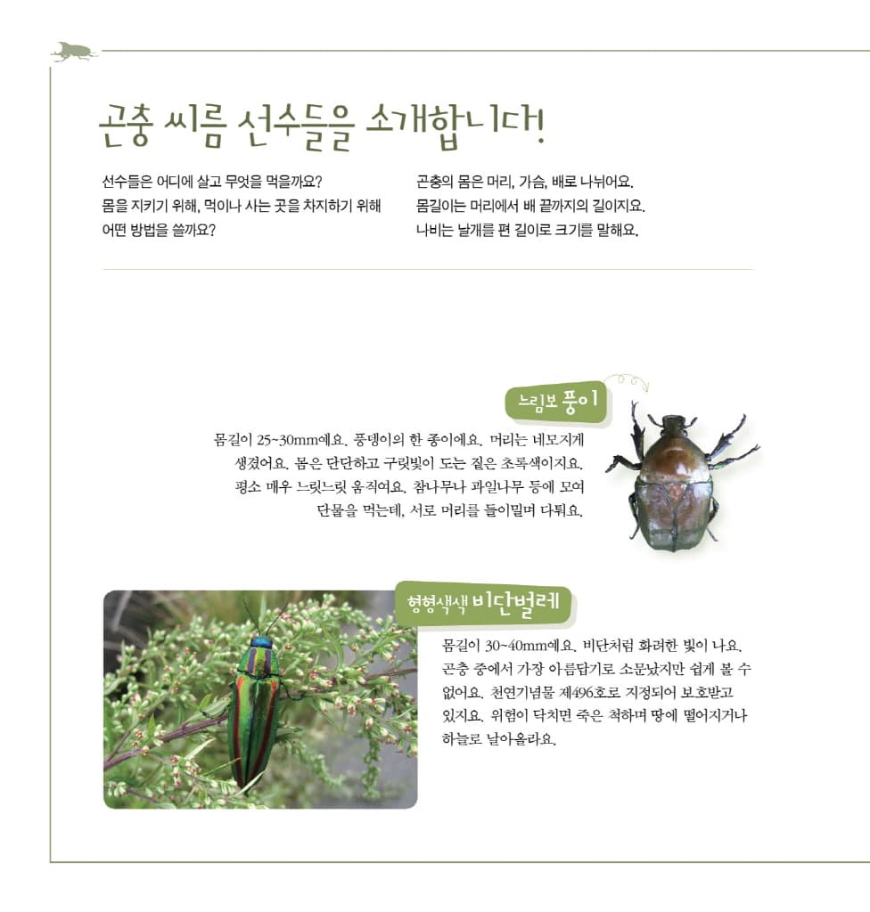 숲속의 곤충 씨름