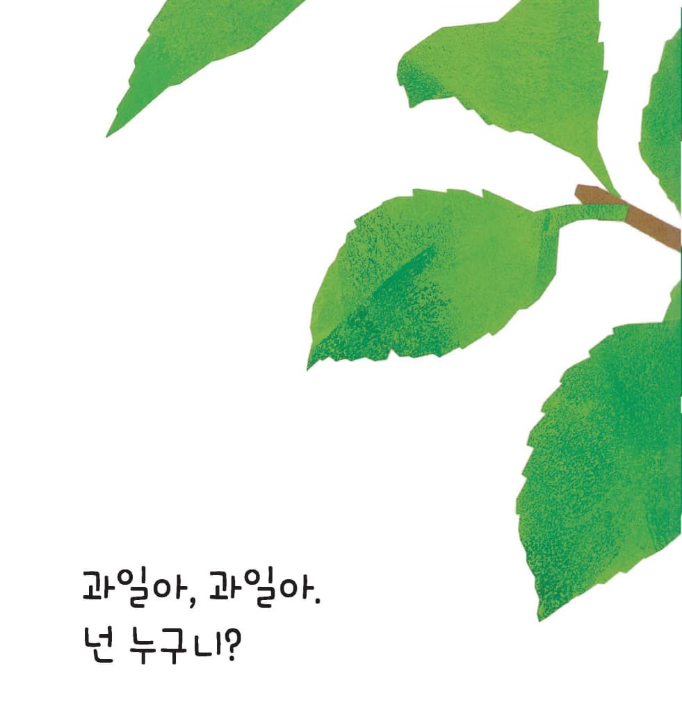 과일이 툭!