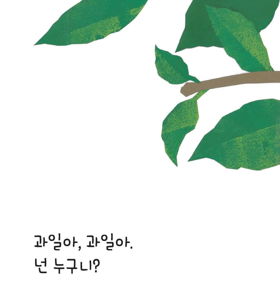 과일이 툭!