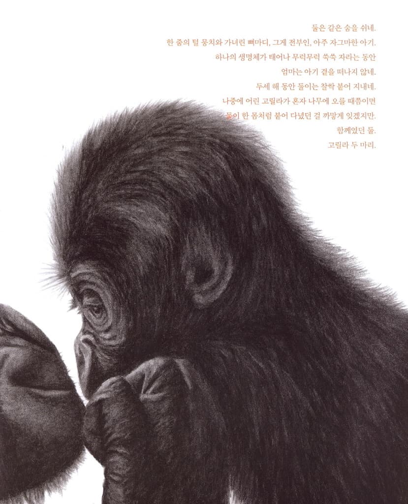 나를 세어 봐!