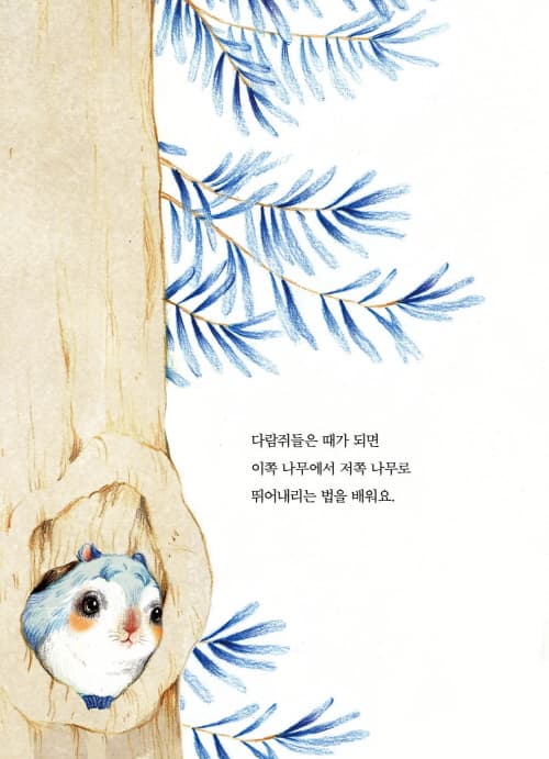 괜찮아! 넌 하늘다람쥐야
