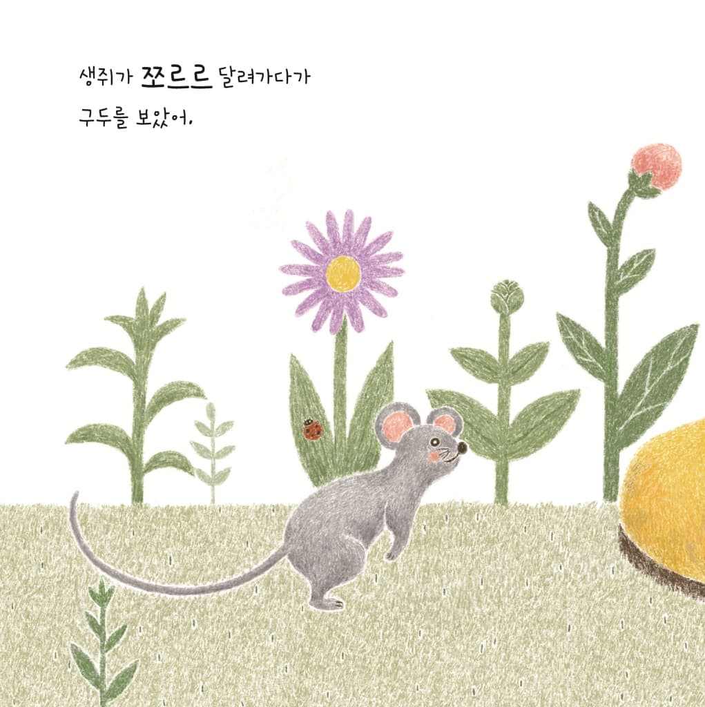 구두 한 짝