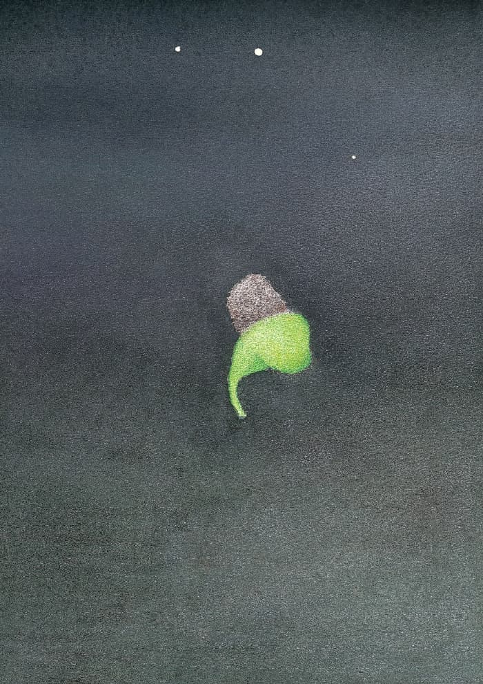 구름꽃