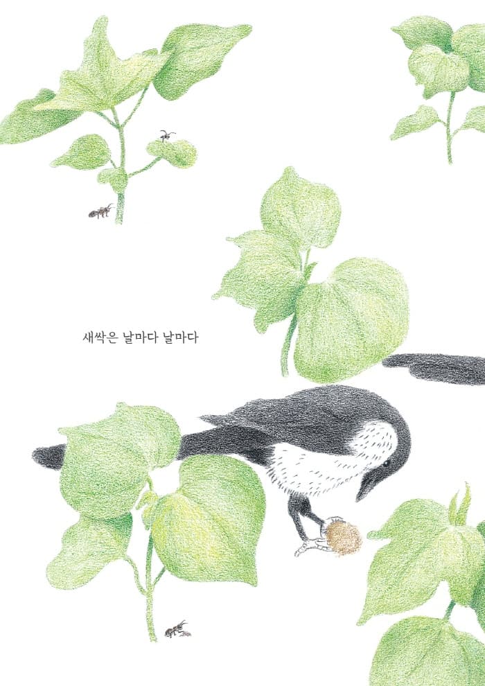 구름꽃