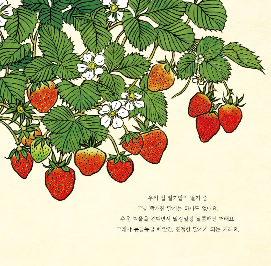 그 오월의 딸기