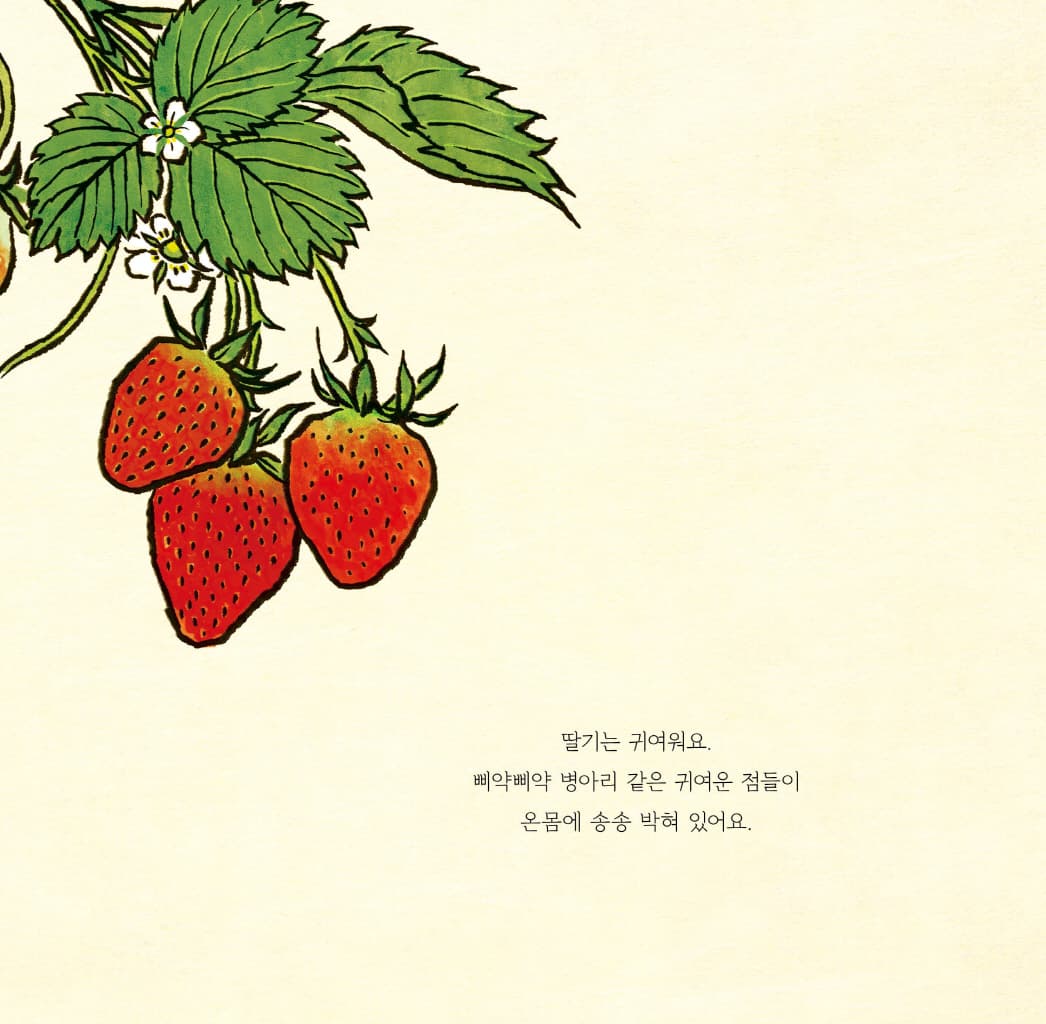 그 오월의 딸기
