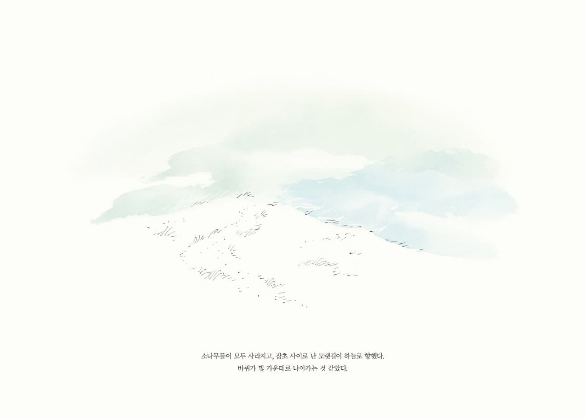 그 해 여름, 에스더 앤더슨