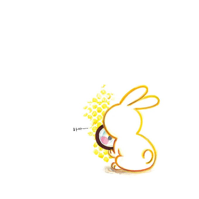 콧수염 토끼