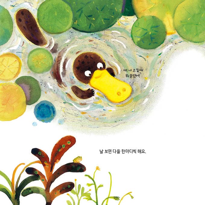 콧수염 토끼