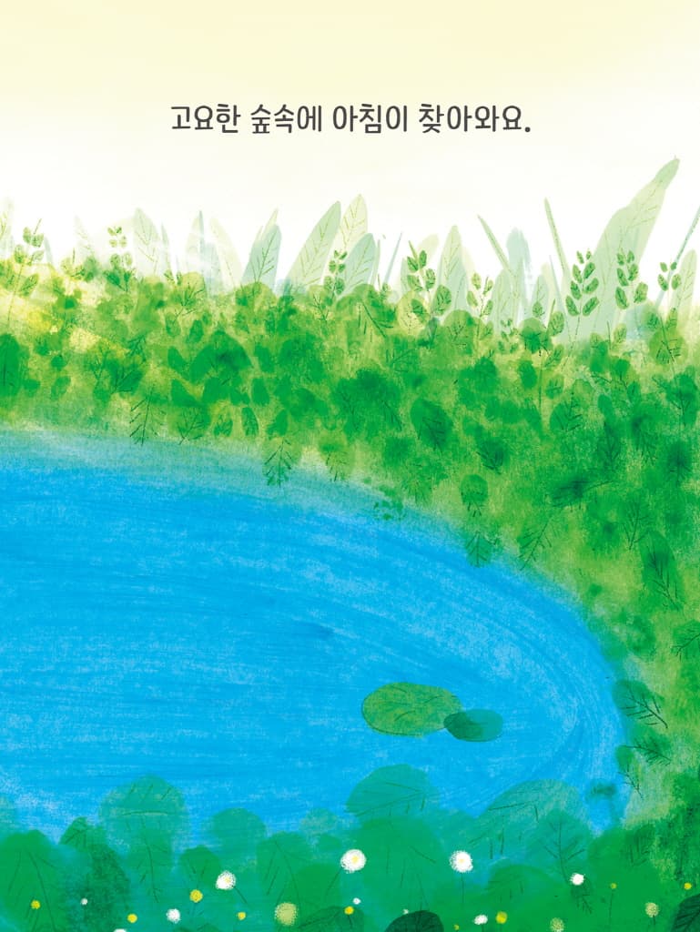 숲속의 아침