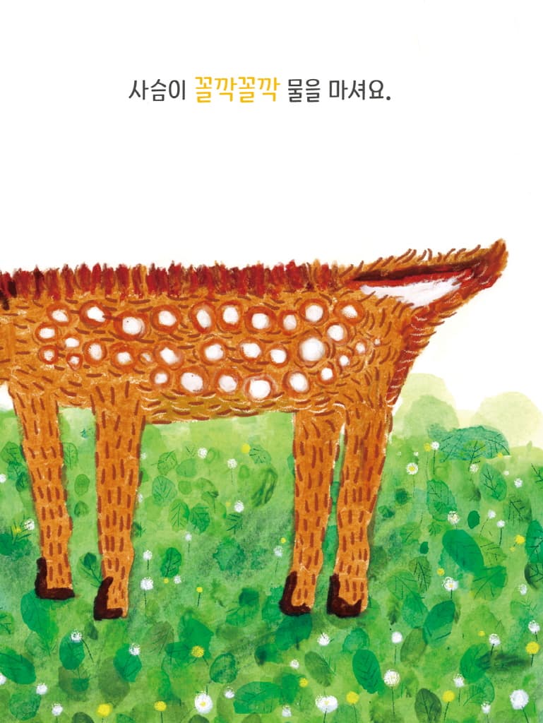 숲속의 아침