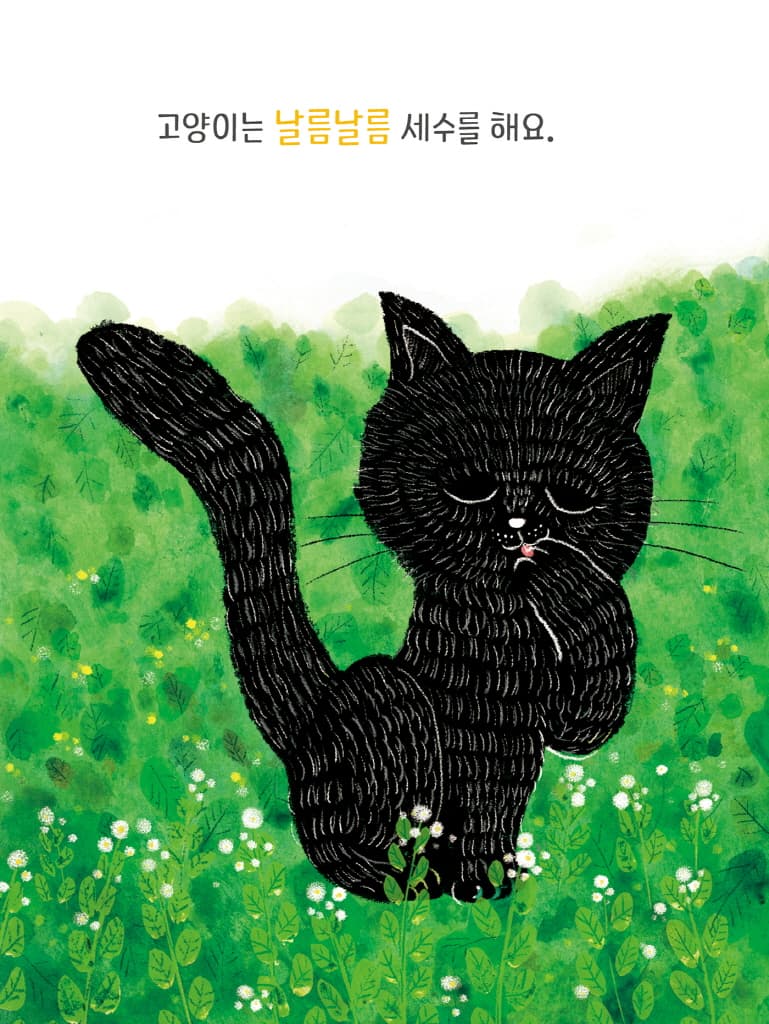 숲속의 아침