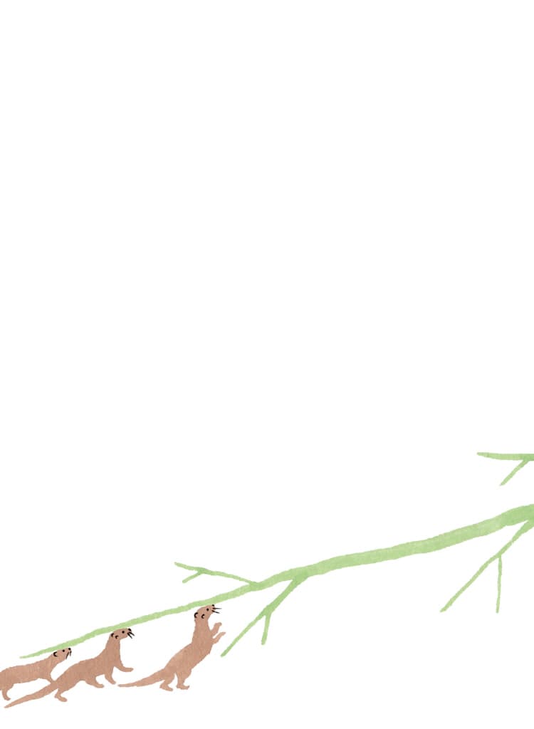 근육 아저씨와 뚱보 아줌마: 호수