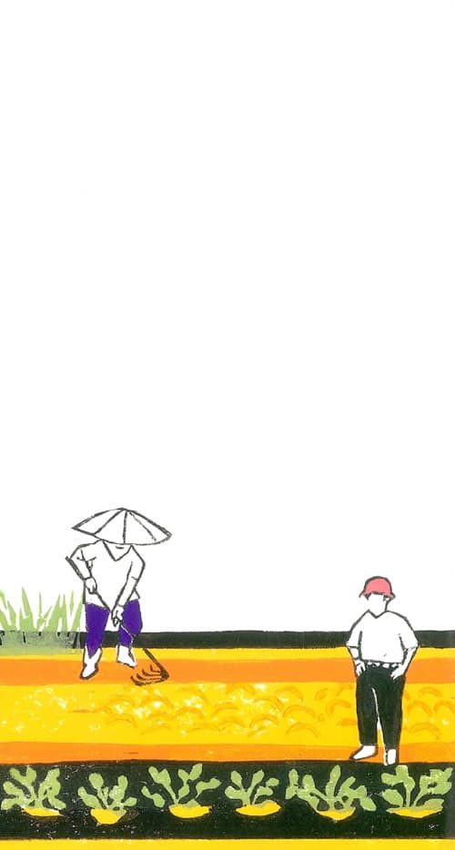 콩 심기