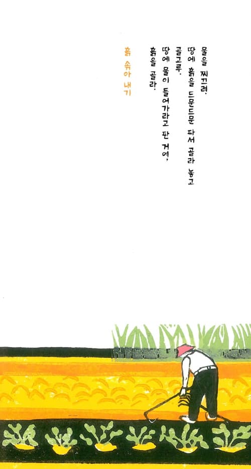 콩 심기