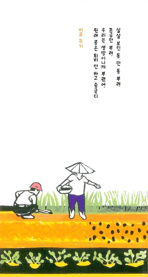 콩 심기