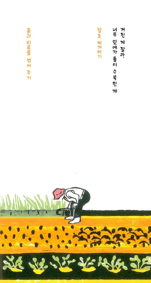 콩 심기