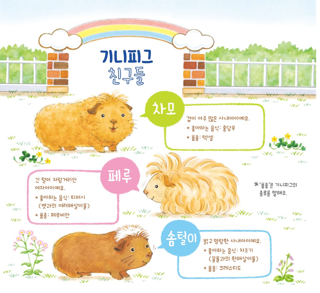기니피그 차모와 뭉치들