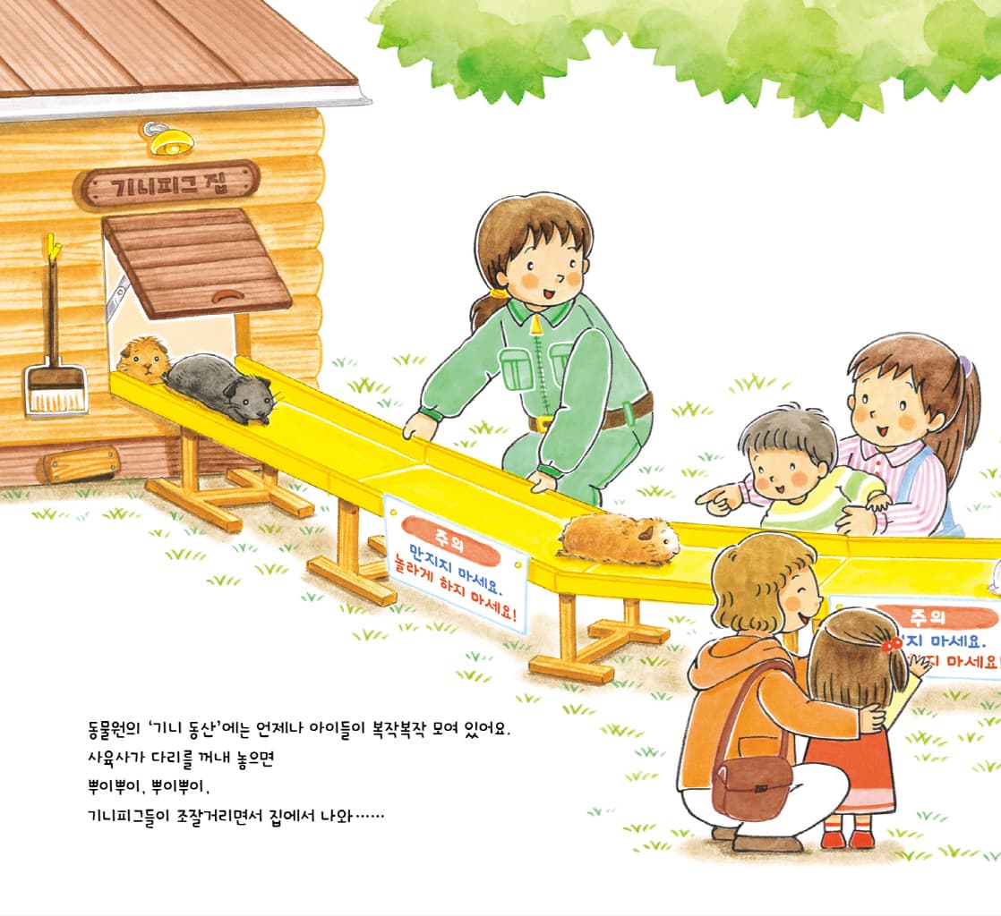 기니피그 차모와 뭉치들