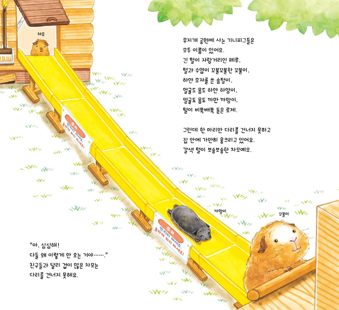 기니피그 차모와 뭉치들