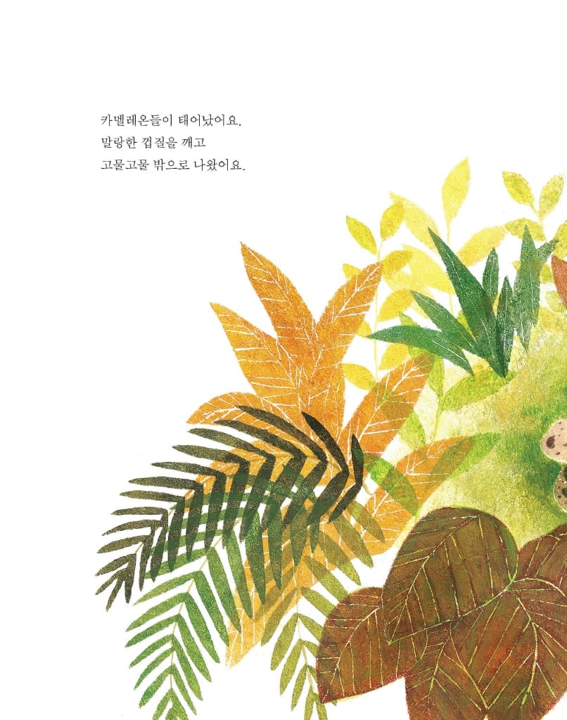 까만 카멜레온