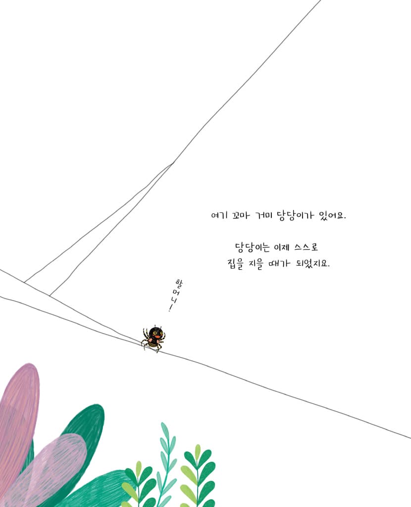 꼬마 거미 당당이