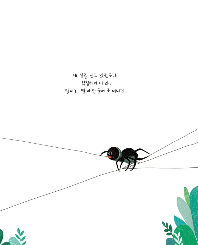 꼬마 거미 당당이