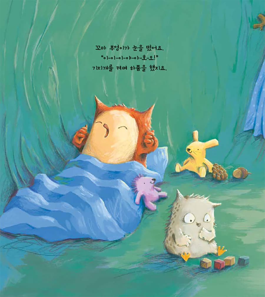 꼬마 부엉이의 첫날