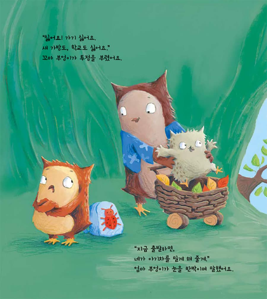 꼬마 부엉이의 첫날