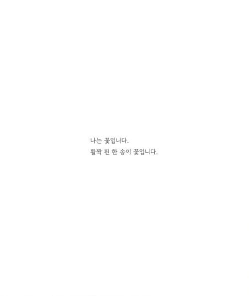 꽃이 피었습니다