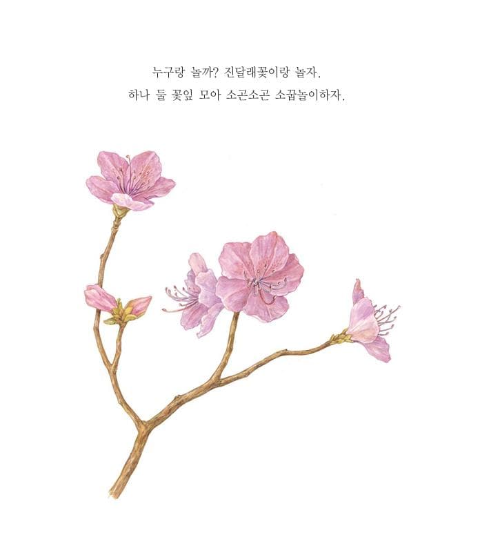 꽃이랑 놀자
