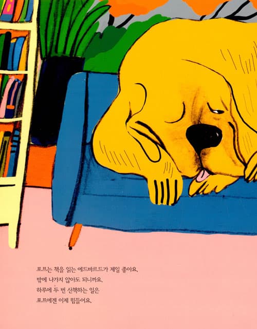 꿈꾸는 포프