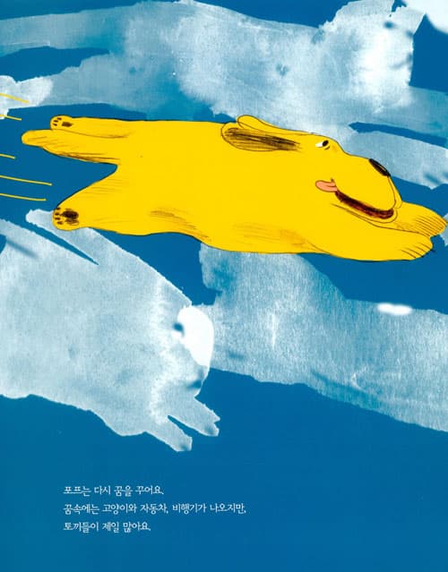 꿈꾸는 포프