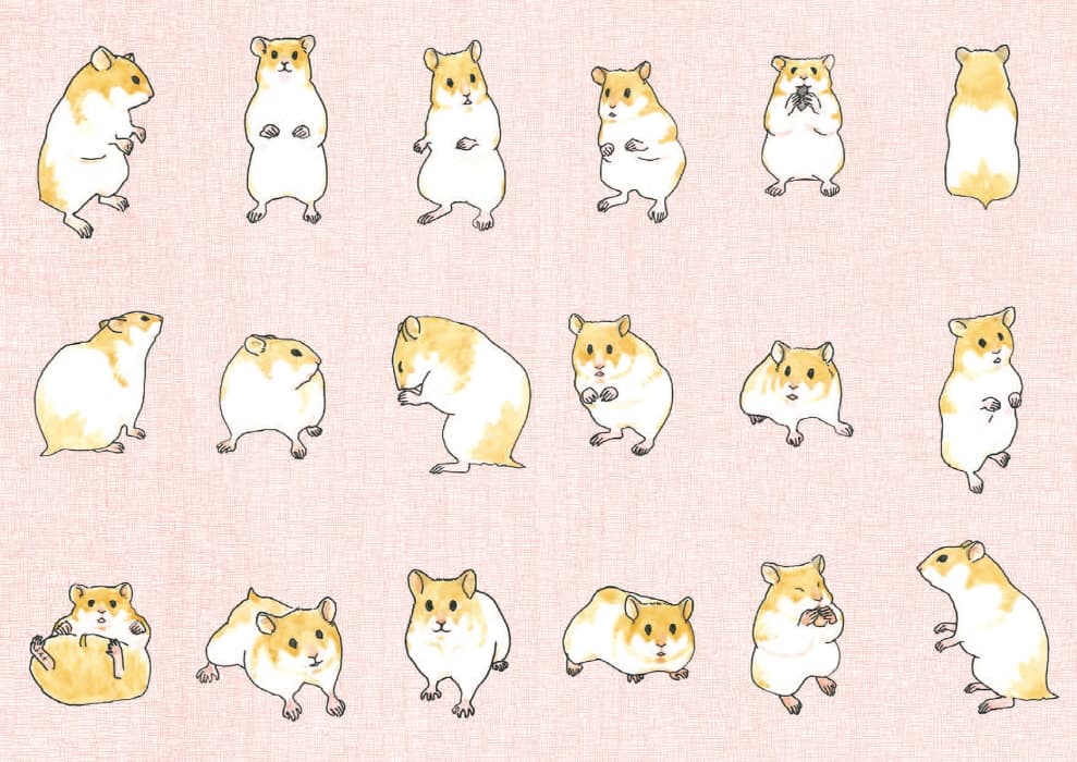 콩알 특공대와 햄스터 놀이터