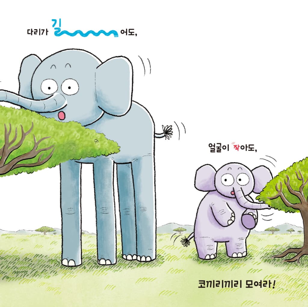끼리끼리 코끼리