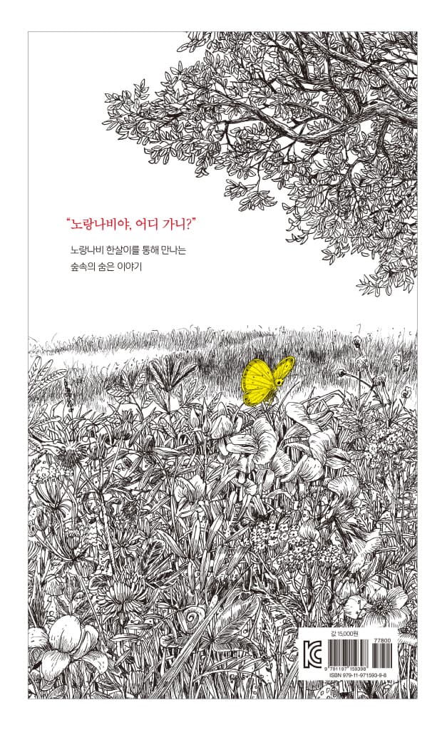 나는 나비