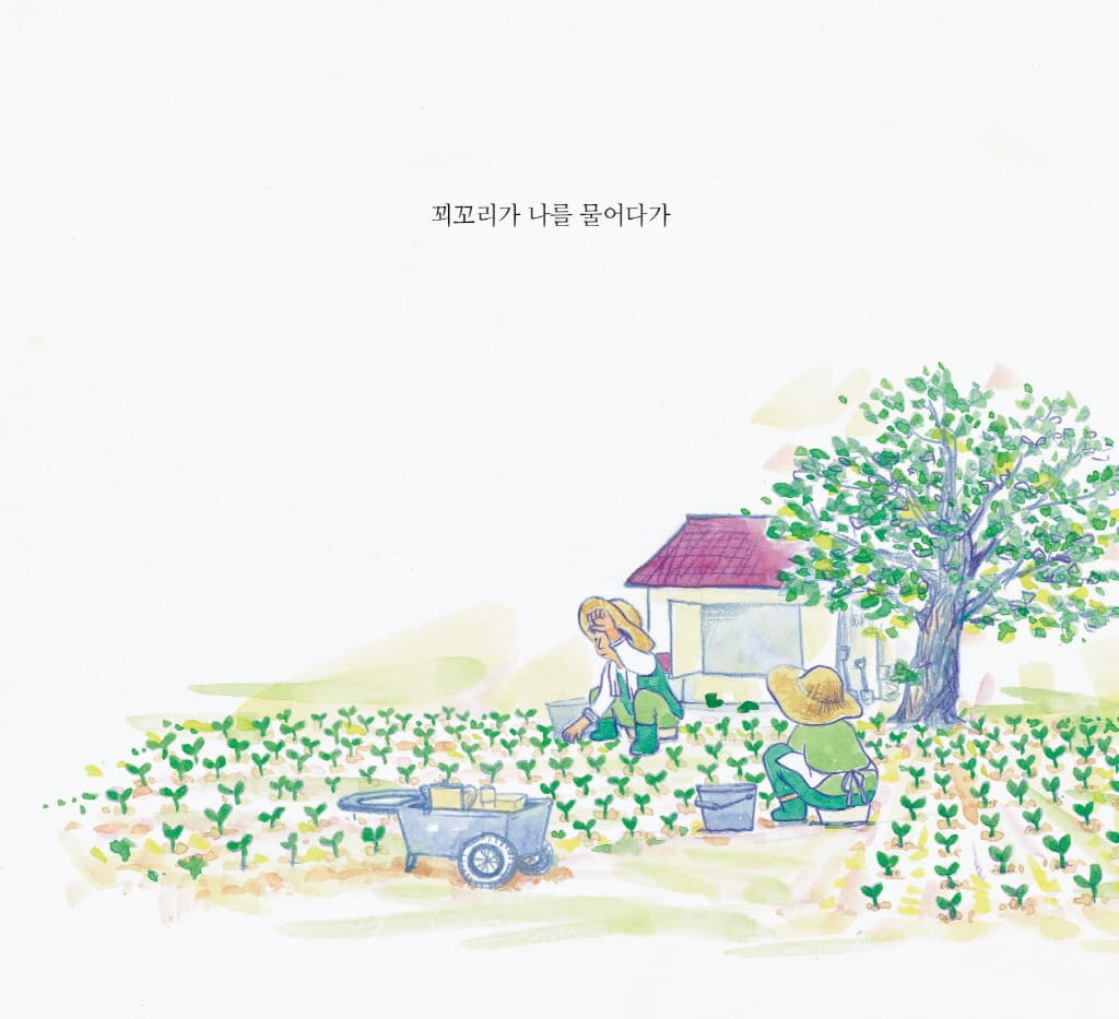 나는 애벌레랑 잤습니다