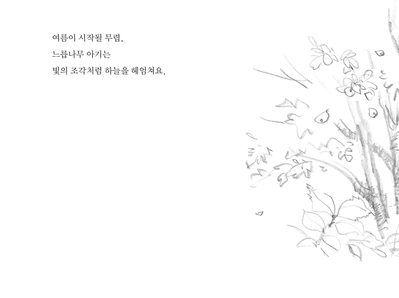 나무의 아기들