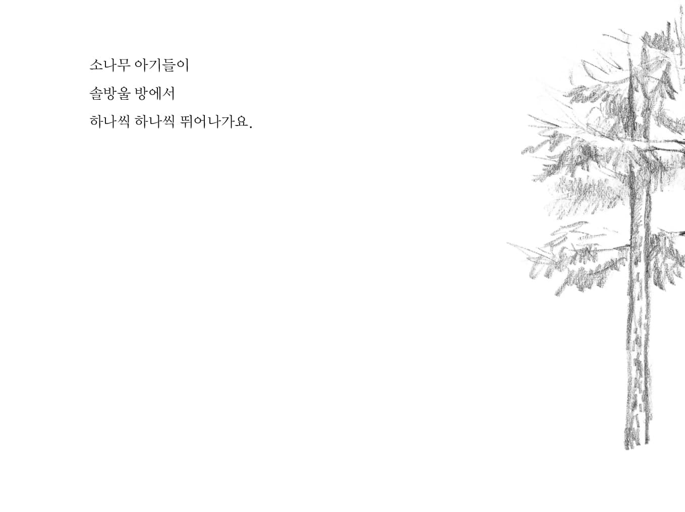 나무의 아기들