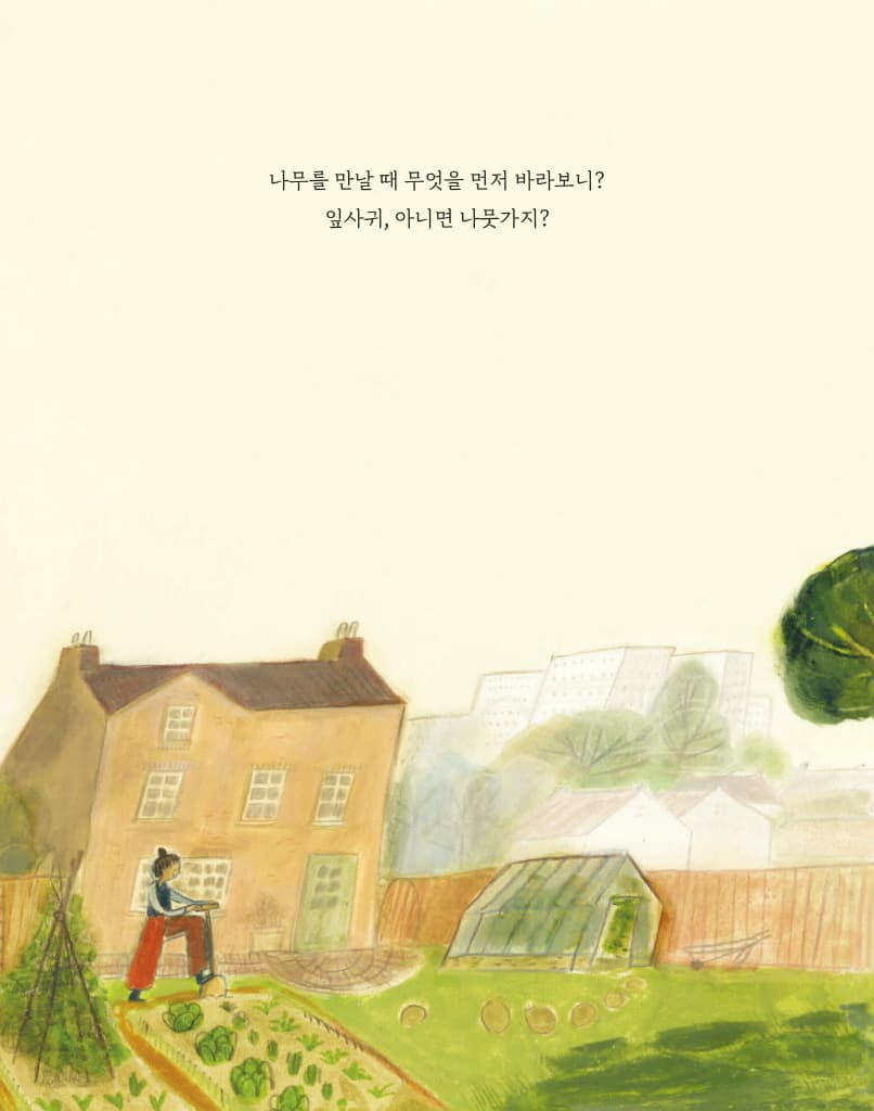 나무를 만날 때