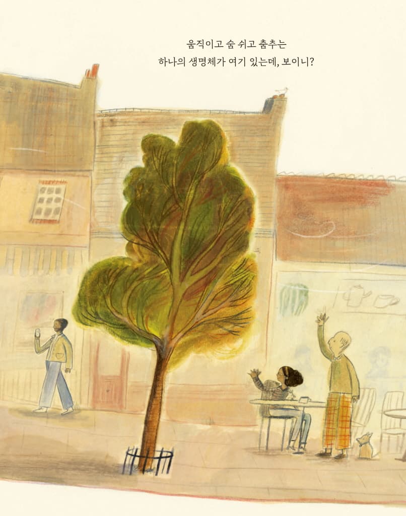 나무를 만날 때