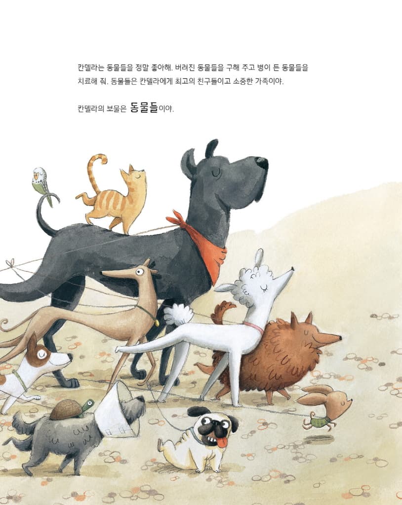 나에게 진짜 보물이 있다면