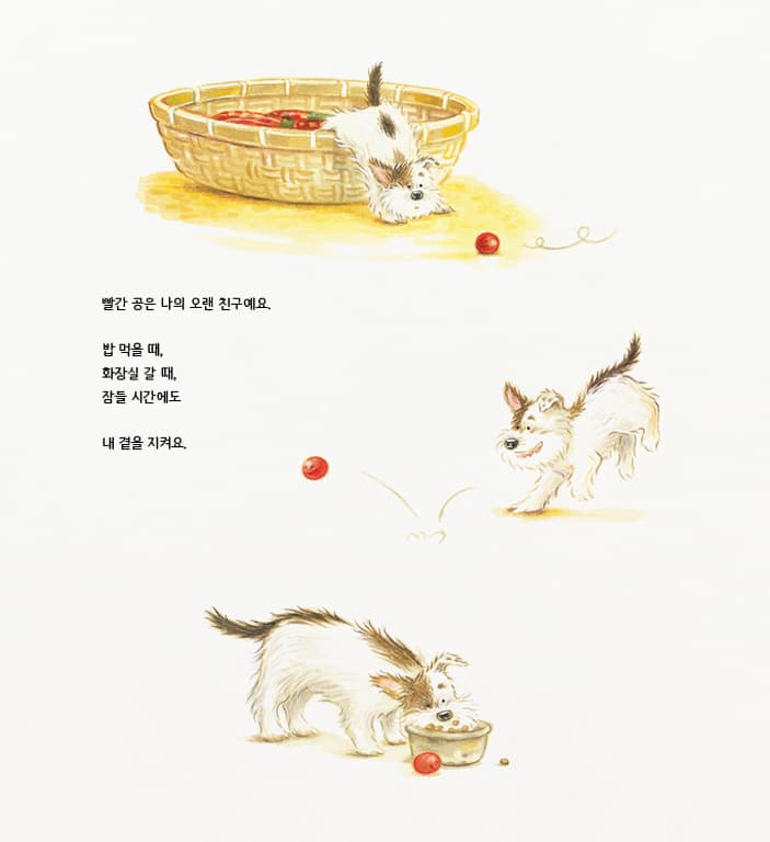 나의 빨간 공