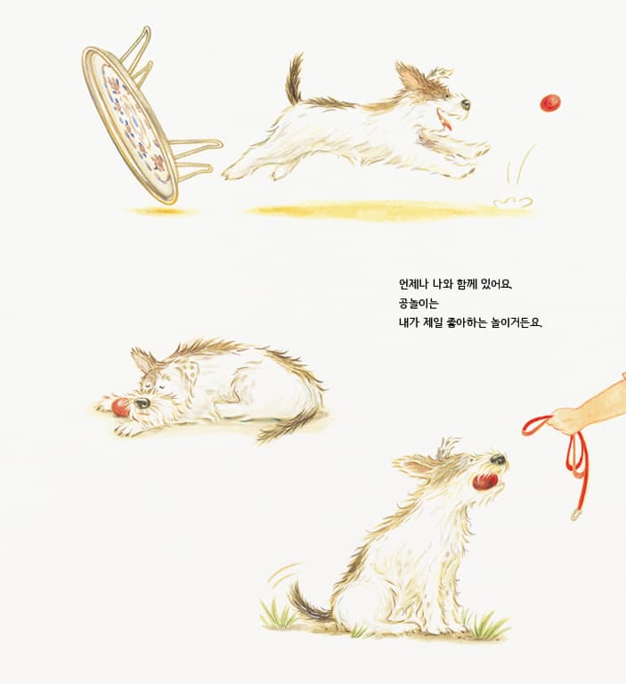 나의 빨간 공