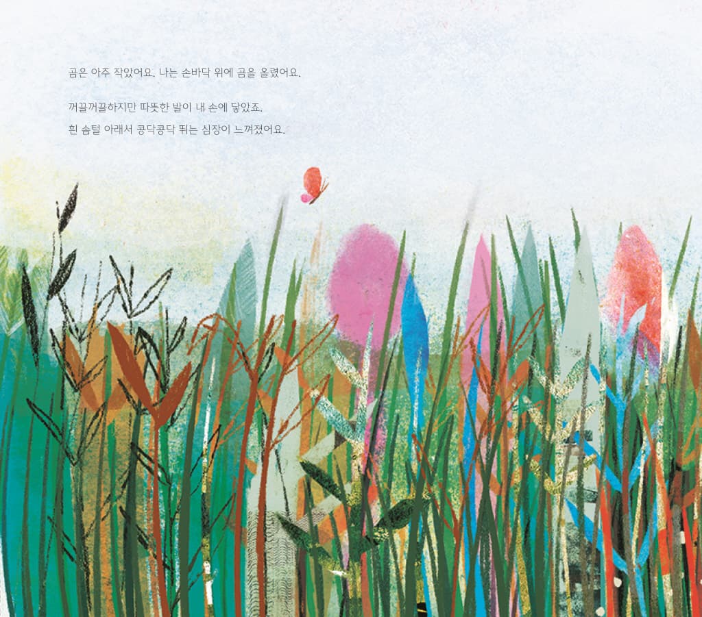 나의 작은 곰