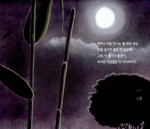 날아라, 왕잠자리