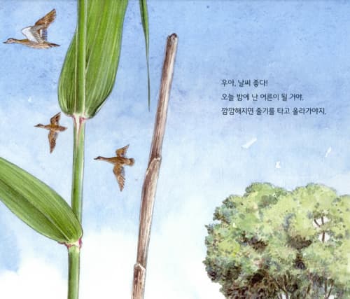 날아라, 왕잠자리