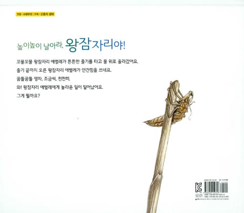 날아라, 왕잠자리