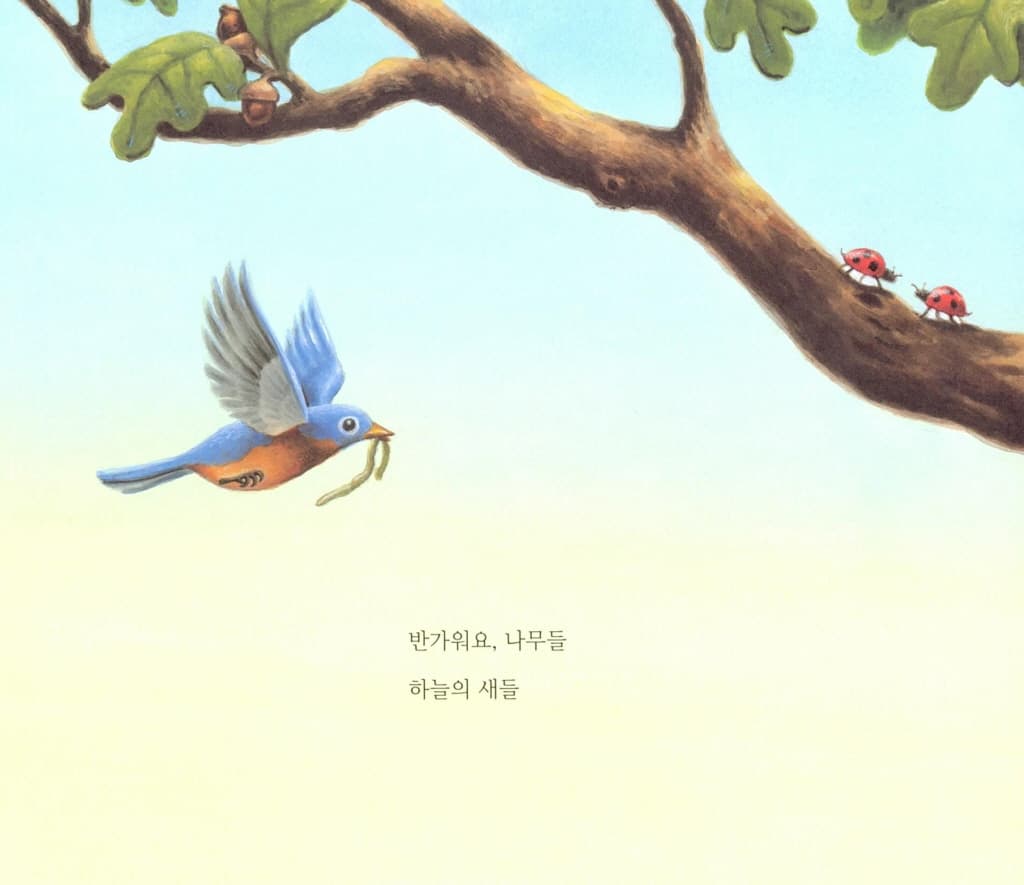 낮에도 밤에도 안녕