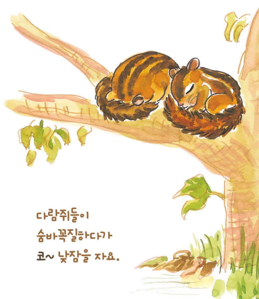 낮잠책